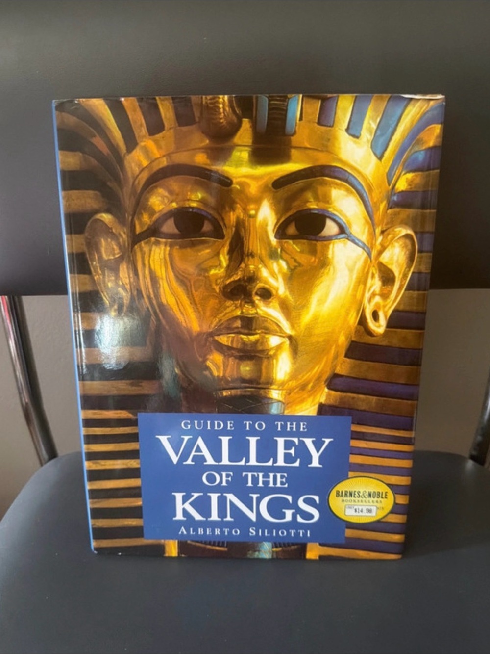 Guide to the Valley of the Kings Hardcover Book Alberto Siliotti